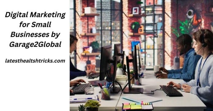 Digital Marketing for Small Businesses by Garage2Global