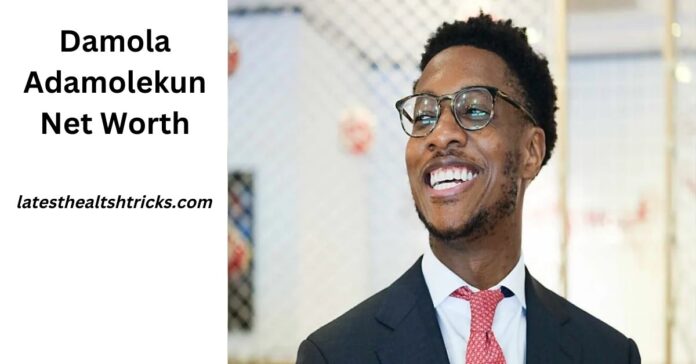 Damola Adamolekun Net Worth