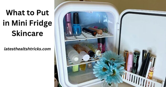 What to Put in Mini Fridge Skincare