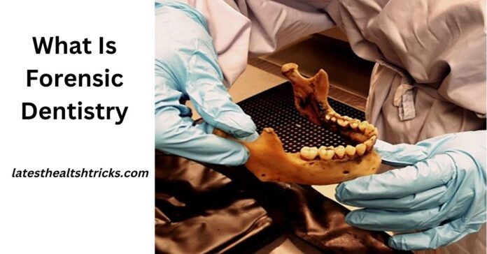 What Is Forensic Dentistry